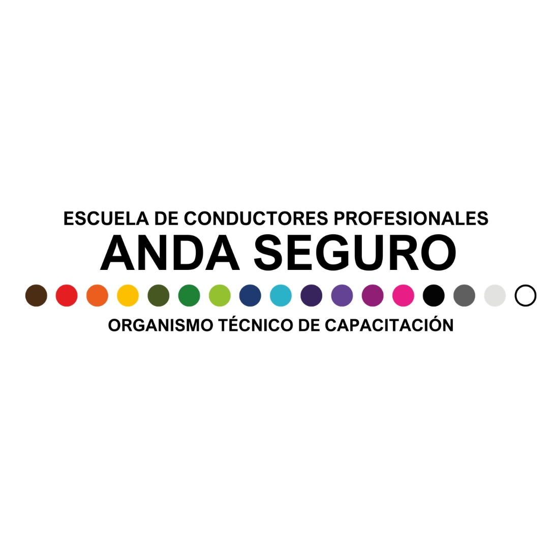 Escuela de conductores cliente de JG Visual